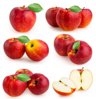 elma beyaz arkaplanda izole edildi