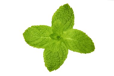 Beyazda izole edilmiş nane