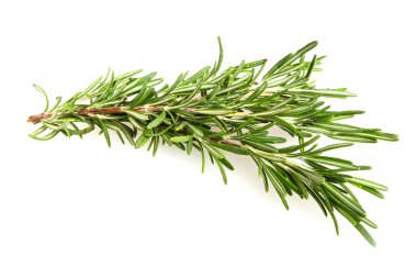 Biberiye beyazda izole edilmiş