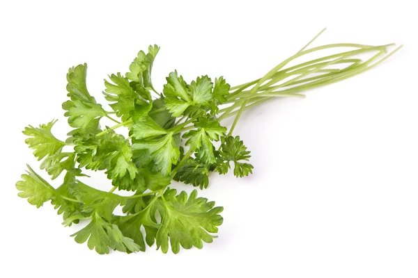 Parsley herb isolated on white background — Stock Photo, Image