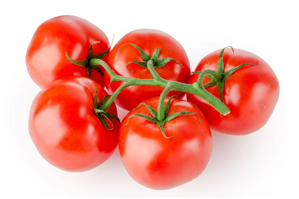 Tomate isoliert auf weiß — Stockfoto