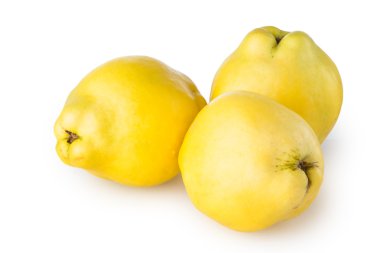 Beyaz bir arka planda Ayva