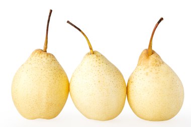 armutlar beyaz arkaplanda izole