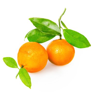 kesimli beyaz zemin üzerine mandalina azaltmak