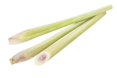 Beyaz arkaplanda limon otu