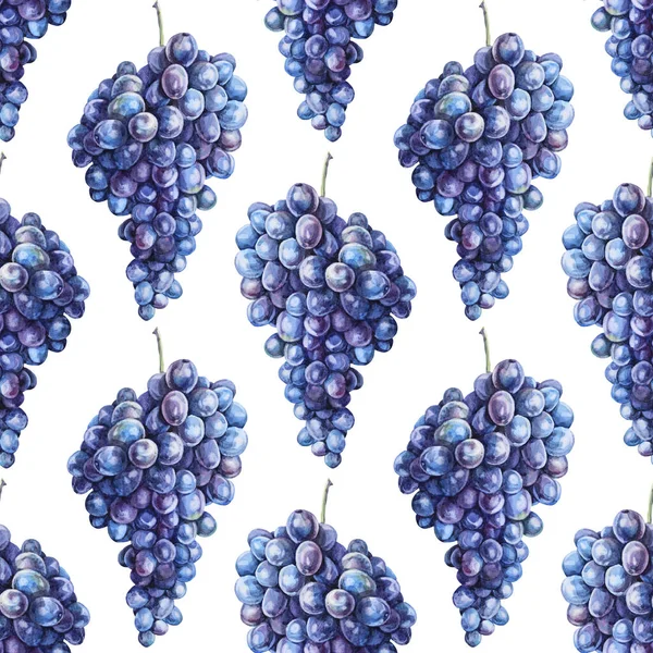 Безшовний візерунок акварельний рука намальована фіолетовим і синім виноградом ізольовано на білому тлі. Літні осінні солодкі ягоди їжі. Милий десерт. Творче мистецтво для меню, кафе, шпалер, обгортання, ескізу — стокове фото