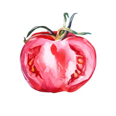 Beyaz arka planda yarım domates dilimi. Suluboya kırmızı el çizilmiş sebze. Salata ya da yemek için sağlıklı yiyecekler. Menü kitabı mutfak çocuğu duvar kağıdı, ambalaj, kafe çıkartması için yaratıcı bir klip