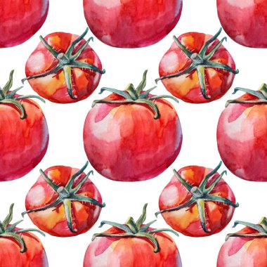 Beyaz arka planda kusursuz desenli domates. Suluboya kırmızı el yapımı sebze. Ketçap ya da yemek pişirmek için sağlıklı yiyecekler. Menü kitabı mutfak çocuğu duvar kağıdı, ambalaj, kafe için yaratıcı sanat