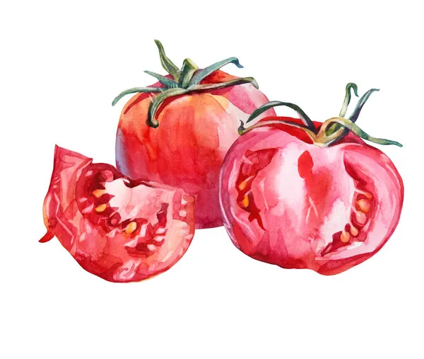 Zusammensetzung Tomate isoliert auf weißem Hintergrund. Aquarell rotes handgezeichnetes Gemüse. Gesundes Essen für Salat oder Kochen. Kreative Cliparts für Speisekarte Kochbuch Küche Kind Tapete Verpackung, Café Stockbild