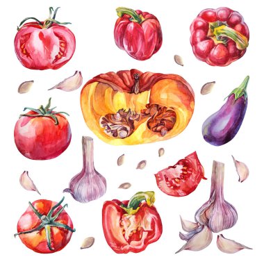 Suluboya sebzeler: Beyaz arka planda izole edilmiş domates dolmalık sarımsaklı balkabağı patlıcan. Yaz mevsiminde salata ya da çorba için sağlıklı yiyecekler. Menü Kafe Duvar Kağıdı eskiz kitabı için tırman