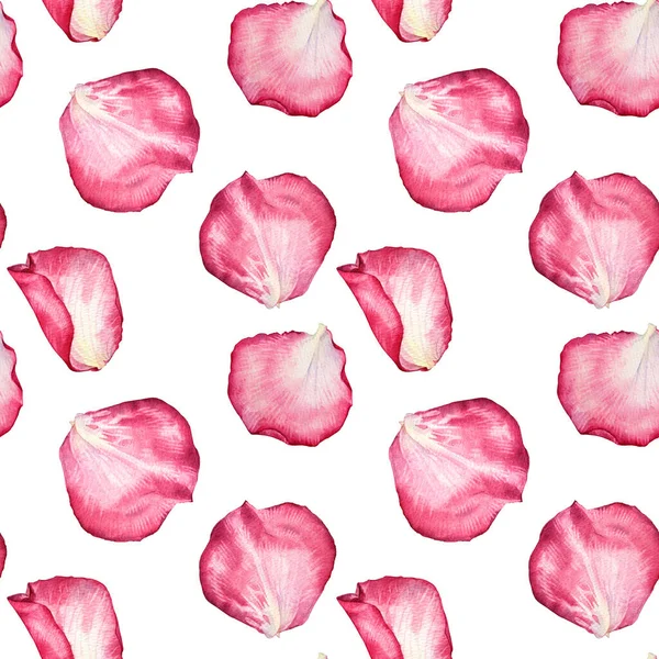 Nahtloses Muster Aquarell rosa weißes Rosenblatt isoliert auf weißem Hintergrund. Handgezeichnete botanische Blume für Valentinstag oder 8. März Frühling. Glücklicher Frauentag. Kunst zur Hochzeitsfeier einladen — Stockfoto