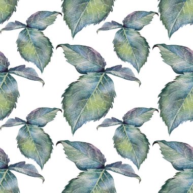 Kusursuz desenli suluboya, beyaz arka planda yaprakları olan yeşil mavi bir dal. Çiçek gül yaprağı. Çiçekçi, kart, duvar kağıdı, ambalaj, kartpostal, eskiz defteri, tekstil için el yapımı sanat objesi.