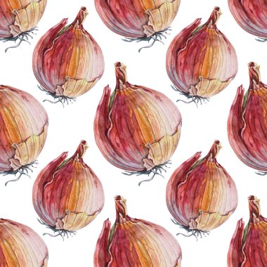 Kusursuz desenli suluboya, soyulmamış soğan, beyaz arka planda izole edilmiş. Sağlık için altın rengi sebze vitamini. Çorba salatası için el yapımı baharatlı yemekler, yemek kitabı menüsü kafesi. Çıkartma duvar kağıdı sanatı