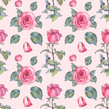 Kusursuz desenli suluboya pembe gül ve pembe arka planda yeşil yapraklar. Sevgililer Günü ya da 8 Mart için el yapımı botanik çiçeği. Mutlu kadınlar günü. Düğün davetiyesi sanatı.