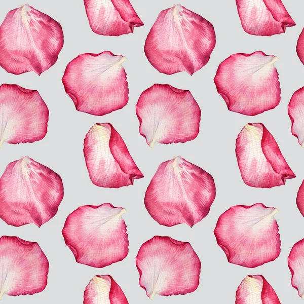 Naadloos patroon aquarel roze wit rozenblaadje geïsoleerd op grijze achtergrond. Handgetekende botanische bloem voor Valentijnsdag of 8 maart lente. Gelukkige vrouwendag. Kunst voor huwelijksfeest uit te nodigen — Stockfoto