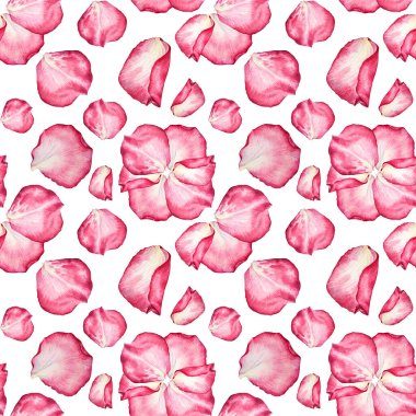 Kusursuz desenli suluboya pembe gül yaprağı beyaz arka planda. Sevgililer Günü veya 8 Mart 'ta el yapımı botanik. Merhaba bahar. Kadınlar Günü 'nde. Düğün davetiyesi sanatı.