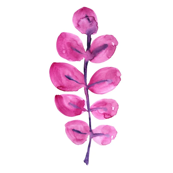 Akvarell rosa och lila abstrakt gren blomma med blad isolerade på vit bakgrund. Kreativ handritad vår eller sommar illustration. Clipart för bröllop 8 mars förpackning tapet klistermärke — Stockfoto