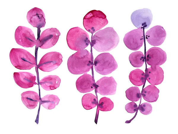 Set acquerello rosa e viola ramo astratto fiore con foglie isolate su sfondo bianco. Illustrazione creativa disegnata a mano in primavera o estate. Clipart per matrimonio 8 marzo carta da parati adesivo — Foto Stock