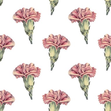 Kusursuz desenli suluboya, beyaz arka planda mor karanfil. Kutlama için elle çizilmiş bahar pembe çiçek karanfili. Çiçekçi duvar kâğıdı eskiz defteri için yaratıcı klasik klişe