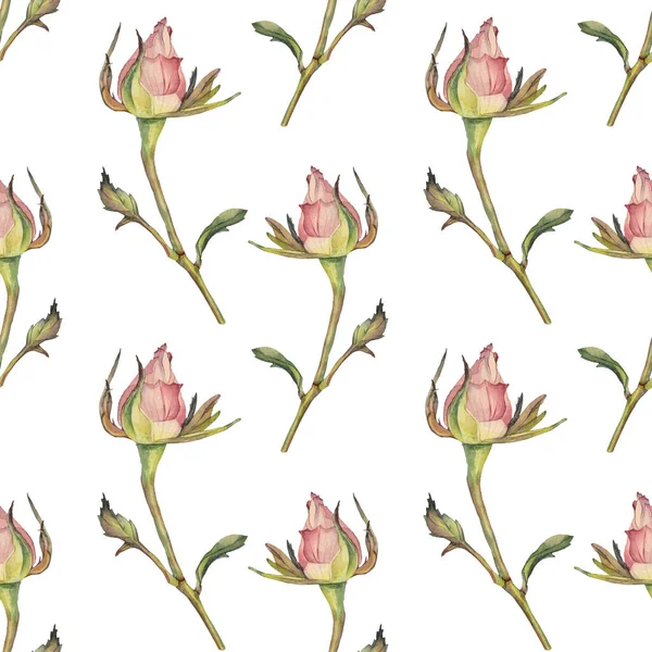 Nahtloses Muster Aquarell Zweig mit rosa Knospe Rose und grünen Blättern auf weißem Hintergrund. Frühling Sommer handgezeichnete Blume für Hochzeit, Feier am 8. März. Kunst für Karten, Tapeten, Aufkleber — Stockfoto
