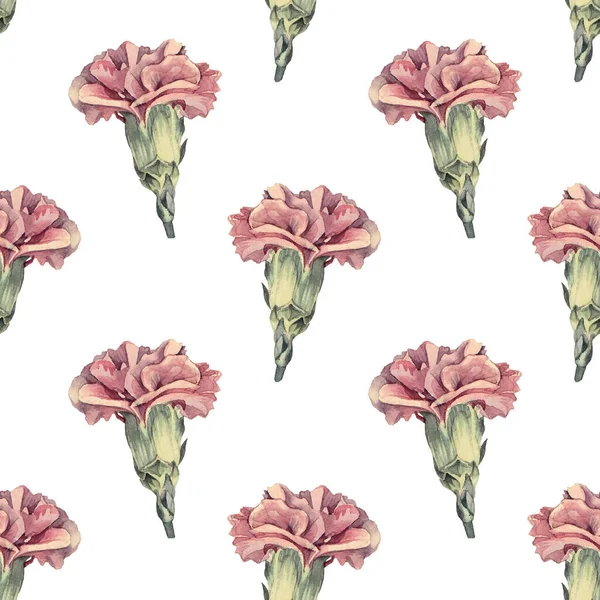 Nahtloses Muster Aquarell lila Nelke auf weißem Hintergrund. Handgezeichnete Frühling Sommer rosa Blütennelke zum Feiern. Kreative Vintage-Cliparts für Floristentapeten-Verpackungsskizzenbuch — Stockfoto