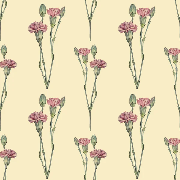 Seamless pattern watercolor purple carnation on beige background. Hand-drawn spring summer pink flower for celebration wedding. Vintage art for florist sticker wallpaper wrapping card sketchbook — Stock Photo, Image