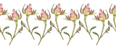 Kusursuz sınır suluboya pembe tomurcuk ve beyaz arka planda yeşil yapraklar. 8 Mart kutlamaları için el yapımı bahar çiçeği. Duvar kağıdı paketleme sanatı, çıkartma çizim defteri