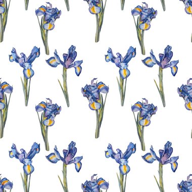 Beyaz arka planda izole edilmiş kusursuz desenli suluboya zambak çiçeği. Düğün davetiyesi için el yapımı botanik sanatı. Duvar kağıdı çizim defteri boyama kitabı için bahar ya da yaz ögesi