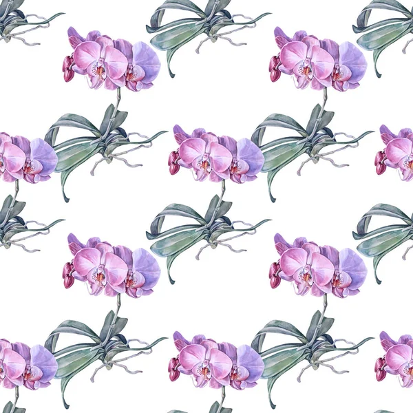 Kusursuz desenli suluboya pembe orkide çiçeği yeşil yapraklı ve kökleri beyaz arka planda izole. Çiçekçiyi saran düğün duvar kağıdı için yaratıcı doğa gerçekçi ev bitkisi — Stok fotoğraf