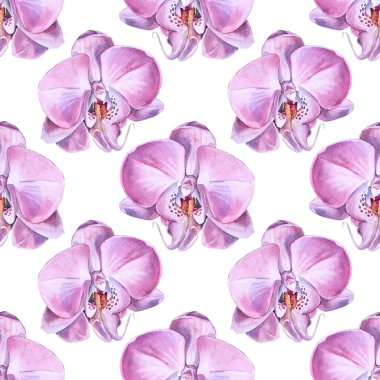 Kusursuz desenli suluboya pembe orkide çiçeği beyaz arka planda izole edilmiş. Düğün, kart, duvar kağıdı, tekstil, ambalaj, çiçekçi, kutlama için yaratıcı doğa gerçekçi ev bitkisi