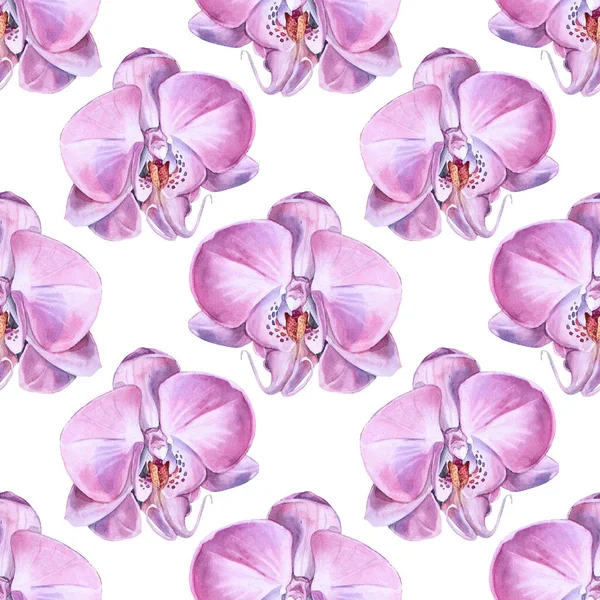 Nahtlose Muster Aquarell rosa lila Orchidee Blume isoliert auf weißem Hintergrund. Kreative Natur realistische Heimpflanze für Hochzeit, Karte, Tapete, Textil, Verpackung, Florist, Feier — Stockfoto