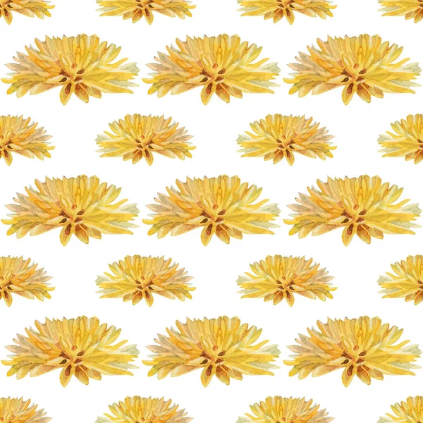 Patrón sin costura acuarela crisantemo amarillo o diente de león sobre fondo blanco. Vintage sol dibujado a mano de verano y flor de primavera para la tarjeta de celebración. Arte para empapelar cuaderno de bocetos — Foto de Stock