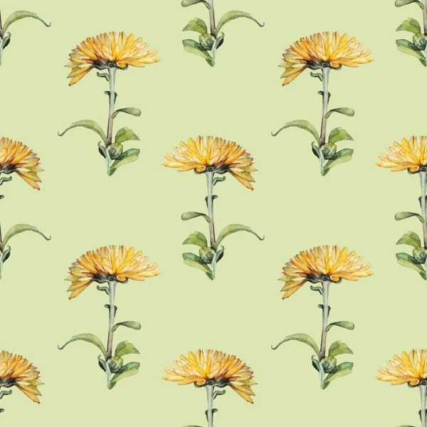 Nahtloses Muster Aquarell gelbe Chrysantheme mit Blättern auf grünem Hintergrund. Vintage handgezeichnete Zweigblume und Knospe für die Festkarte. Kunst zum Tapetenwickeln Skizzenbuch Malbuch — Stockfoto