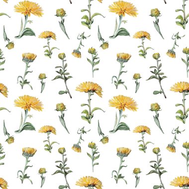 Kusursuz desenli suluboya sarı kasımpatı ve beyaz arka planda yeşil yapraklar. Kutlama kartı olarak el yapımı çiçek ve tomurcuk. Duvar kağıdı kaplama defteri sanatı