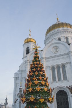 Noel ağacının yanında İsa saviour cathedrale