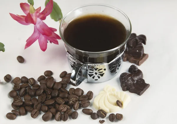 Chocolate, coffee and flower — Stock Photo, Image
