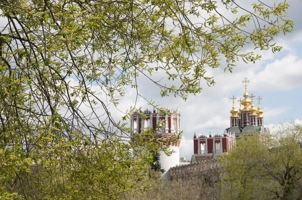 Monastère de Novodevichiy tours et gazouillis — Photo
