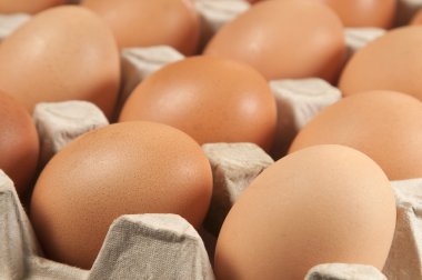 yumurta karton destek