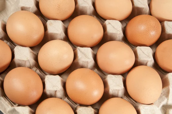 Eggs in cardboard support — Stock Photo, Image