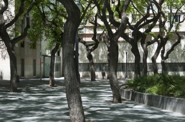sokak manzarası