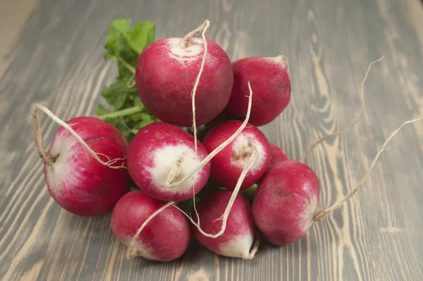 Bunch of radish — Stock Photo, Image