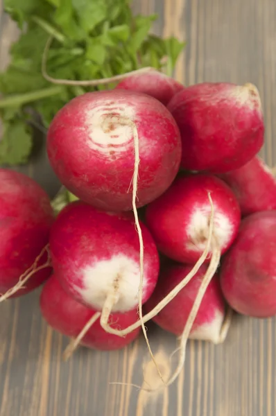 Bunch of radish — Stock Photo, Image