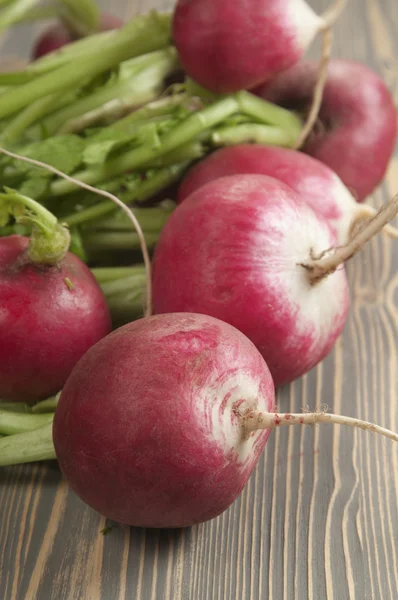 Bunch of radish — Stock Photo, Image