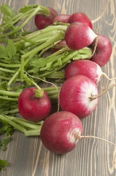 Bunch of radish — Stock Photo, Image