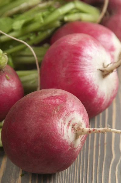 Bunch of radish — Stock Photo, Image