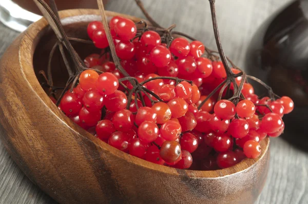 Guelder (arrowwood) 的浆果和糖浆 — 图库照片