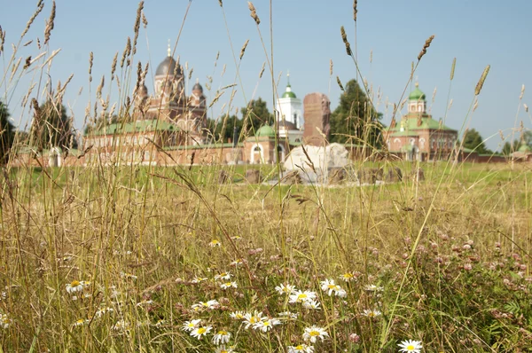 SPASO-BORODINSKY (Saver en Borodino) convento, se centran en el gras —  Fotos de Stock