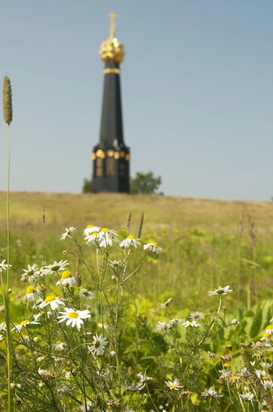 Památník bitvy na Borodino, zaměření na květiny — Stock fotografie