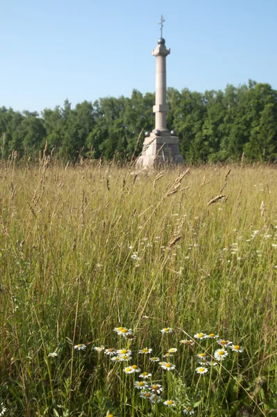 Borodino Schlachtdenkmal, Fokus auf einem Gras — Stockfoto