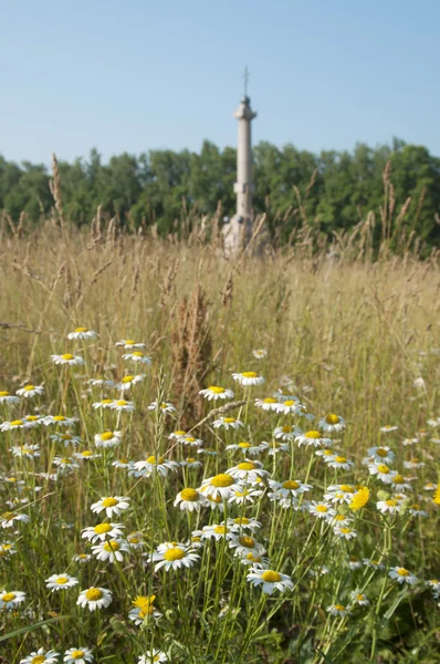 Borodino batalla memorial, se centran en las flores — Foto de Stock